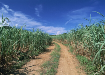 勵(lì)志說(shuō)說(shuō)大全帶圖片7