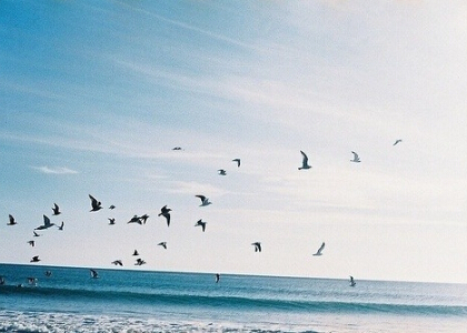 悲傷的說說帶圖片1 悲傷的說說帶圖片1