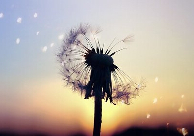 青春勵志說說帶圖片5