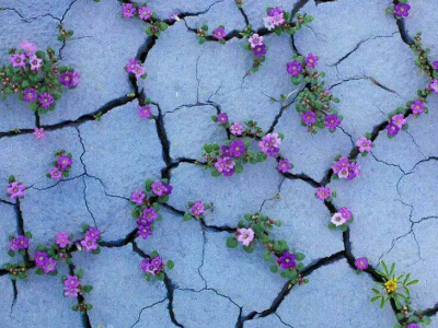 青春勵志說說帶圖片6