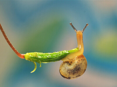 最有道理的說說帶圖片，有道理的文字說說帶圖片7