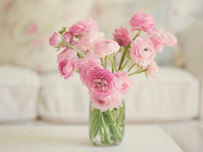 正能量的說說帶圖片7