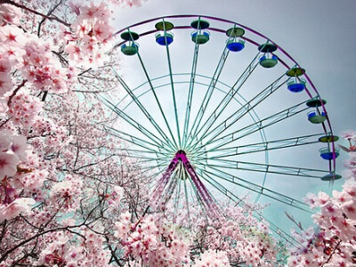 QQ唯美說說帶圖片4