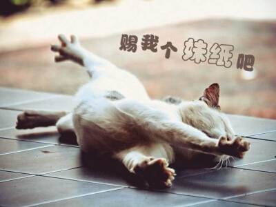 搞笑說說大全帶圖片6