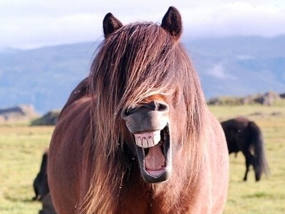 微信搞笑說說點(diǎn)開全文，QQ空間說說展開全文