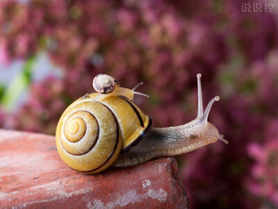 超拽個(gè)性說說帶圖片6