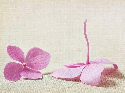 傷感唯美說說帶圖片，唯美傷感的句子圖片7