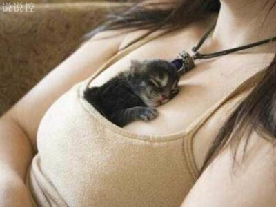 搞笑內(nèi)涵段子，史上最牛的內(nèi)涵段子