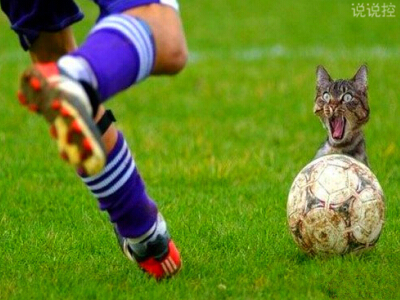 幽默搞笑的說說，幽默搞笑的段子