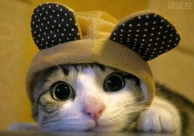 個性說說帶圖片5