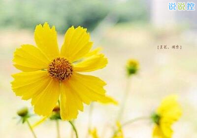 勵志的說說帶圖片，勵志的句子圖片5