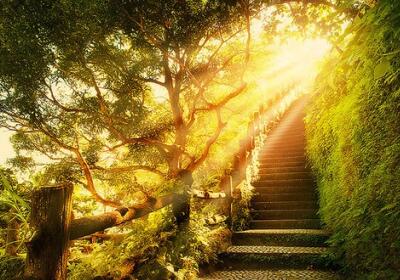 勵志的說說帶圖片，勵志的句子圖片6