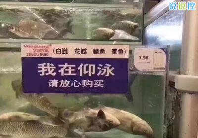 QQ搞笑說說帶圖片，空間搞笑說說帶圖片6