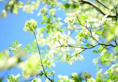 有意境說說帶圖片，意境說說配圖片3