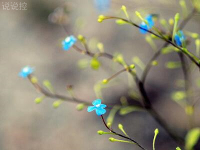 2018經(jīng)典句子帶圖片，經(jīng)典句子配圖5