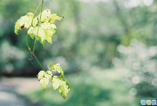 抖音最火扎心語(yǔ)錄 2019痛到心碎的句子1