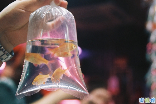 一個(gè)人被愛情傷透了的說說 被感情傷害的說說心情短語1