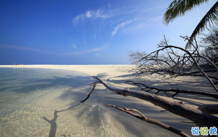 比較有深度很受歡迎的愛情說說帶圖片 對(duì)愛情有所感悟的經(jīng)典說說大全14