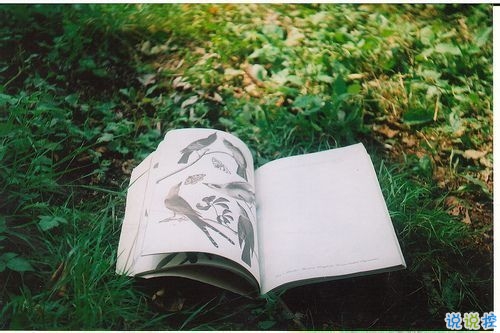 分手后失戀傷感難過的圖片說說 我就要飄起來了然后就離開14