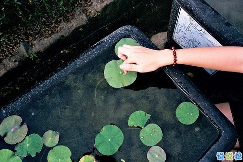 表達(dá)愛意的唯美句子配圖 肯定能打動你心的唯美說說帶圖片11