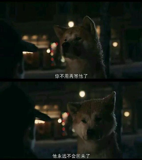 那些年讓你心動的電影經(jīng)典語錄圖片 說說你喜歡的電影經(jīng)典臺詞3