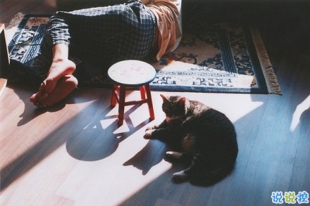 心情低落到極點(diǎn)的傷感句子 心被傷透了的傷感句子1