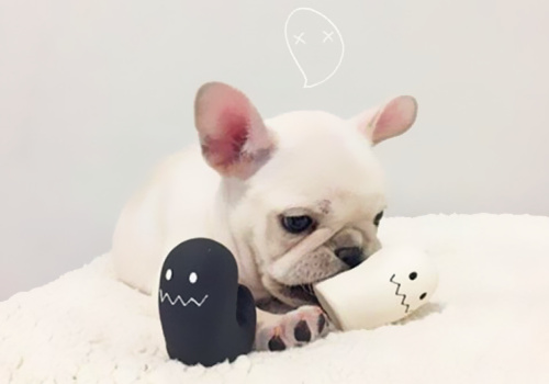 可以戳中中你笑點(diǎn)的搞笑說(shuō)說(shuō)帶圖片12