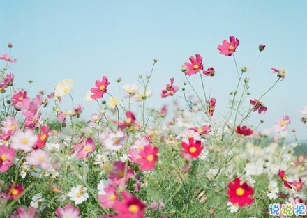 2019新年說說傷感一個人過 新年感到孤獨的傷感說說句子1