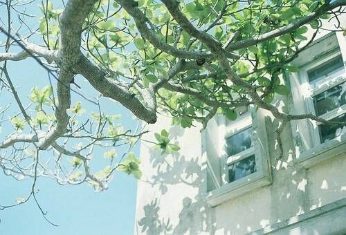 關(guān)于成長(zhǎng)人生和愛(ài)情的美到讓人心碎的說(shuō)說(shuō)帶圖片10