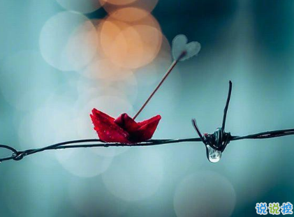 下雨的說說唯美傷感大全2019 一個人的下雨天傷感說說2