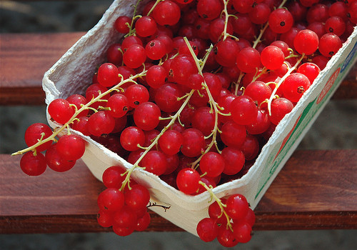 柔軟溫暖而又浪漫的滿滿少女心說(shuō)說(shuō)帶圖片6