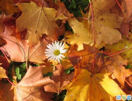 生活很苦很累的個(gè)性說說配圖 一個(gè)人撐得好辛苦經(jīng)典說說帶圖片5