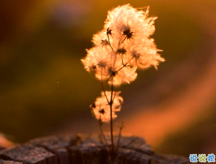 深有感悟的傷感愛情說說 簡短一句話直戳人心的愛情說說1