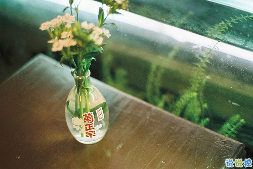 簡(jiǎn)簡(jiǎn)單單很干凈的愛(ài)情說(shuō)說(shuō)帶圖片 該留下來(lái)的人總會(huì)一直在的4