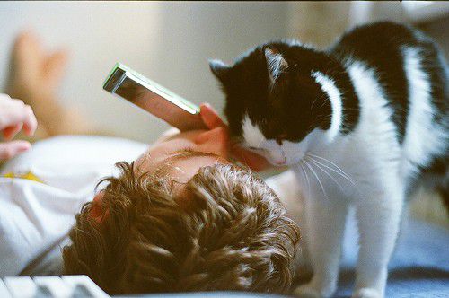 一些國外小說影視電影中的經(jīng)典英文句子精選2