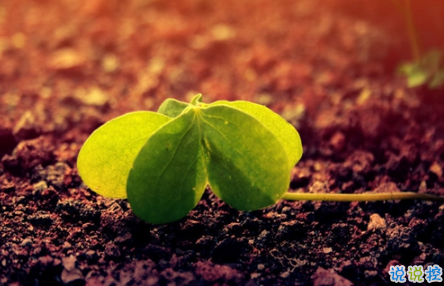 表示無聊的朋友圈說說帶圖片：無聊，是人生的一種正常現(xiàn)象11