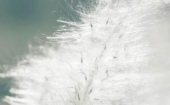 在夢里也會潸然淚下的說說帶圖 如果時光倒流峩捫能抓得住什么8