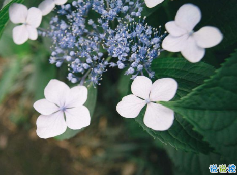 決定放手不愛了傷感說說 好愛好愛卻不能在一起的傷感說說1