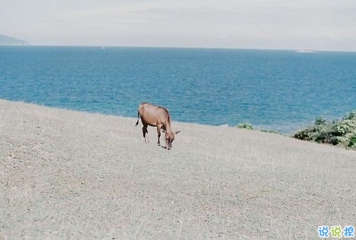 2019非主流經(jīng)典愛情說說帶圖片 很打動(dòng)人的一些愛情真理5