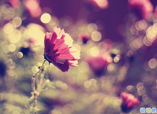 2019最新三月心情說說有點(diǎn)傷感 心里不是滋味的說說短句1