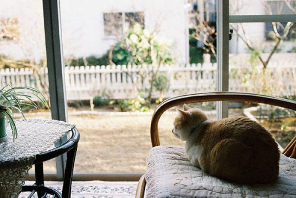 關(guān)于愛(ài)情的甜蜜小句子帶圖片 我忘記誰(shuí)都不能忘記那個(gè)夏天的你12