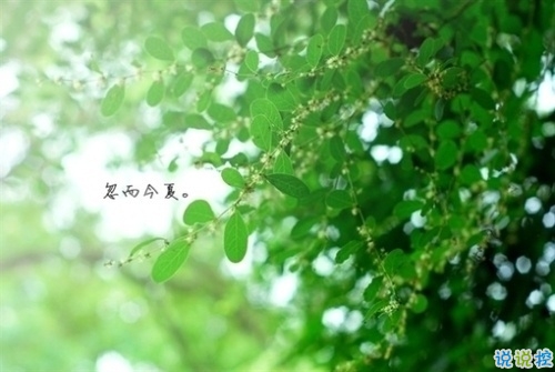 讓人撕心裂肺的唯美說(shuō)說(shuō)配圖 愛令人窒息的句子大全帶圖片8