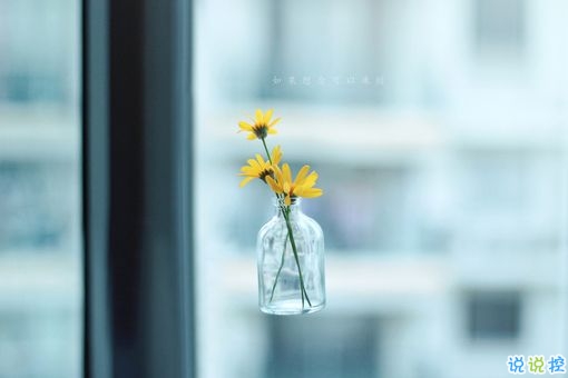 獨(dú)一無二朋友圈個(gè)性說說帶圖片 感謝相識不計(jì)消失回頭是狗7