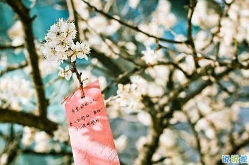 比較特別的女生說說2019精選帶圖片 忍不住想點贊的女生說說7