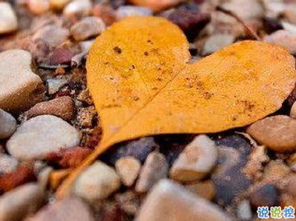 2019年第一天微信早安說(shuō)說(shuō) 豬年早安說(shuō)說(shuō)大全2