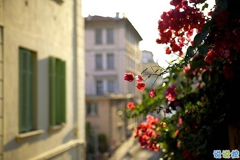 2019最新周末出去玩的心情說(shuō)說(shuō) 春暖花開外出游玩發(fā)朋友圈的說(shuō)說(shuō)2