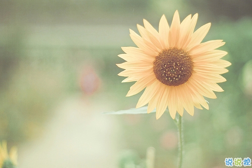 青春年少慢慢成長變得成熟的個性說說帶圖片 2018很經(jīng)典的成熟個性說說14