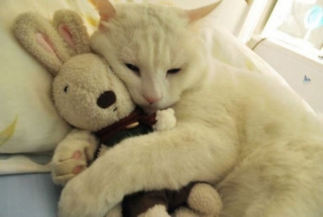 唯美文藝說說帶圖片 想做一個長長的夢回到十九歲那年8