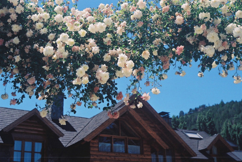 很喜歡對方的粉色少女心甜蜜溫暖的愛情說說大全1