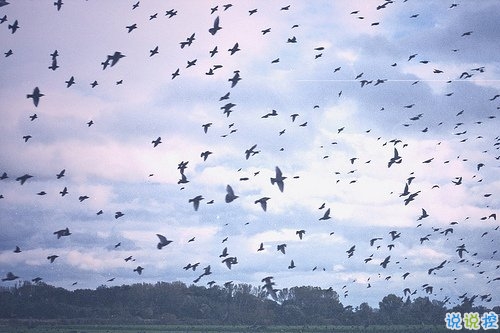 關(guān)于人生和成長(zhǎng)還有青春的有道理的溫暖句子13